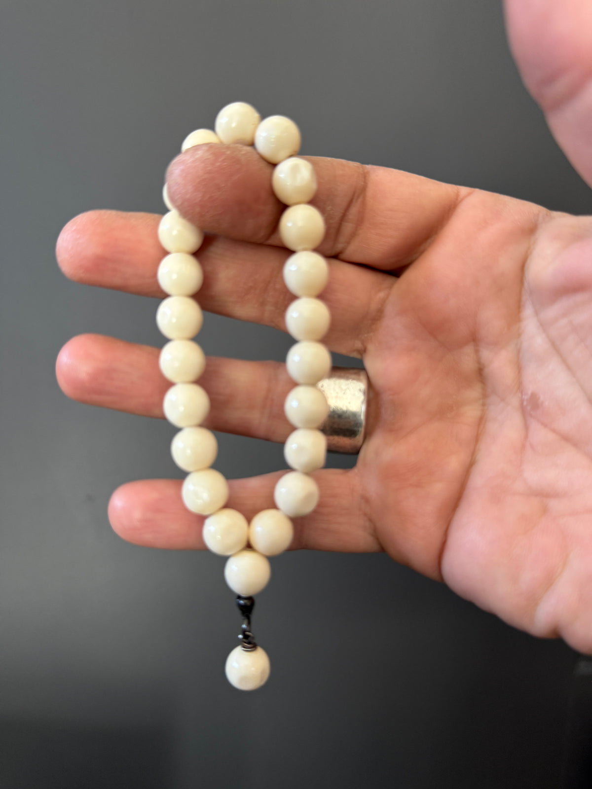 Camel Bone Worry Bead Bracelet